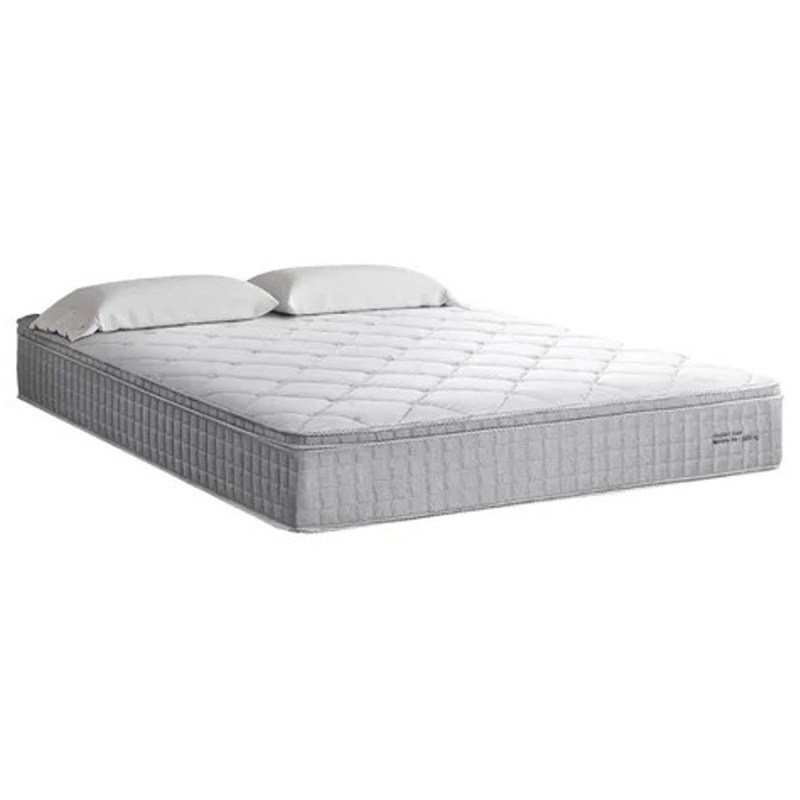 C-DREAM14 F1